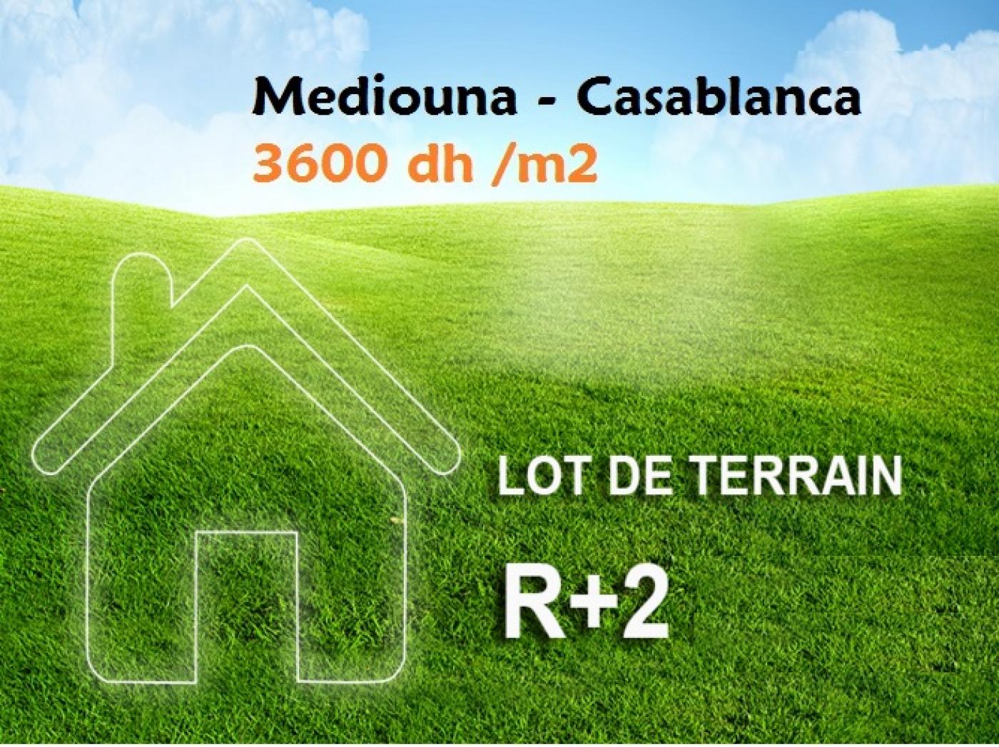 Obra Nuevo  en venta en  Casablanca - Dar el Beida - 