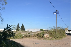 No Picture
