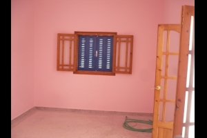 No Picture