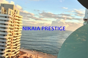 No Picture