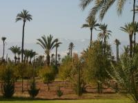 Terrain pour Villa - Maison à vendre à marrakech3000000marrakech3000000